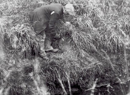 Moselle-Ratcatcher-1928.jpg (59754 bytes)