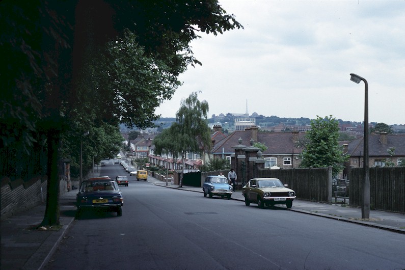 downhills_park_road_post_fire_july1980.jpg (104376 bytes)