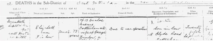 elizabeth_finbow_death_registration.jpg (26105 bytes)