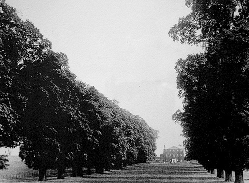 downhills_house_and_grounds.jpg (81510 bytes)