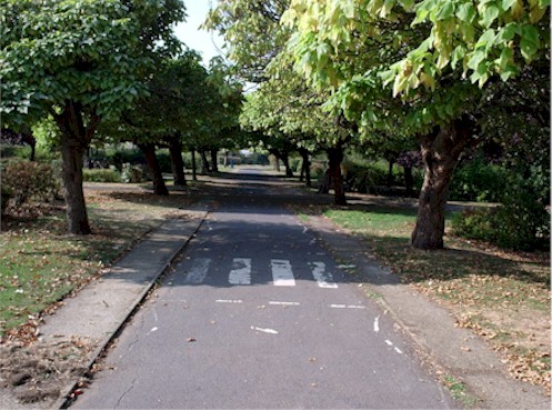 modeltraffic1_2003.jpg (80947 bytes)