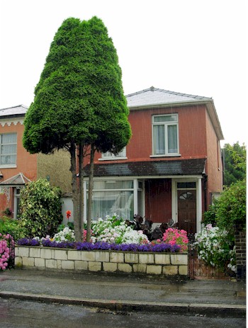 summerhill_spring_cottage.jpg (58632 bytes)